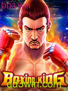 Explorando o Universo de BoxingKing: Um Guia Completo